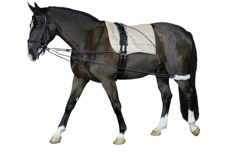 Horse Guard Longersystem