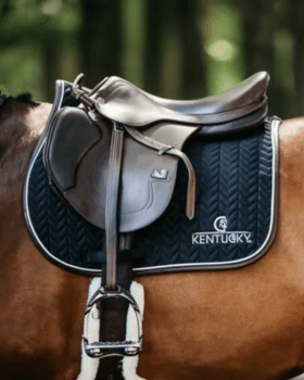 Hovedbilde Shabraker