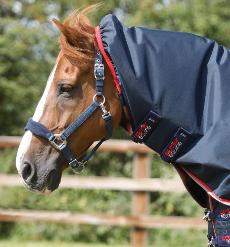 Premier Equine, Buster 50 Gram