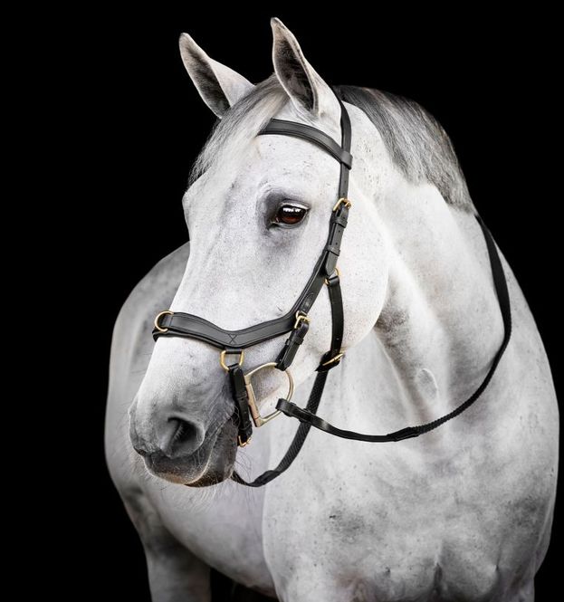 Hovedbilde  Horseware Rambo Micklem Multibridle