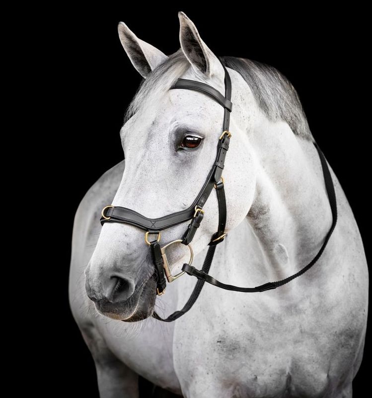  Horseware Rambo Micklem Multibridle