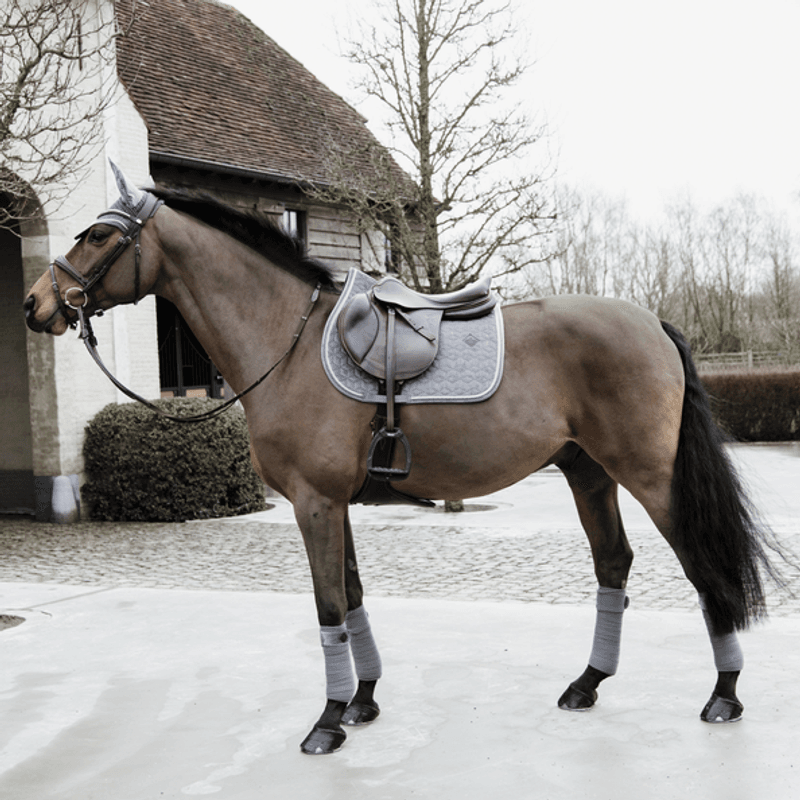 Kentucky Polar Fleecebandasje,Velvet Grey