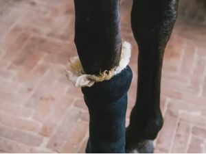 Hovedbilde Grooming DeLuxe, Therapeutic Wool