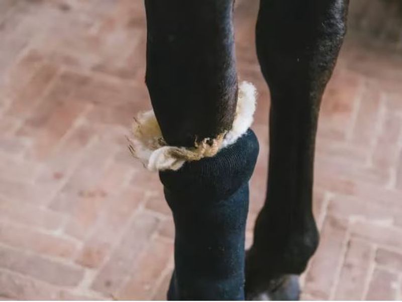 Grooming DeLuxe, Therapeutic Wool