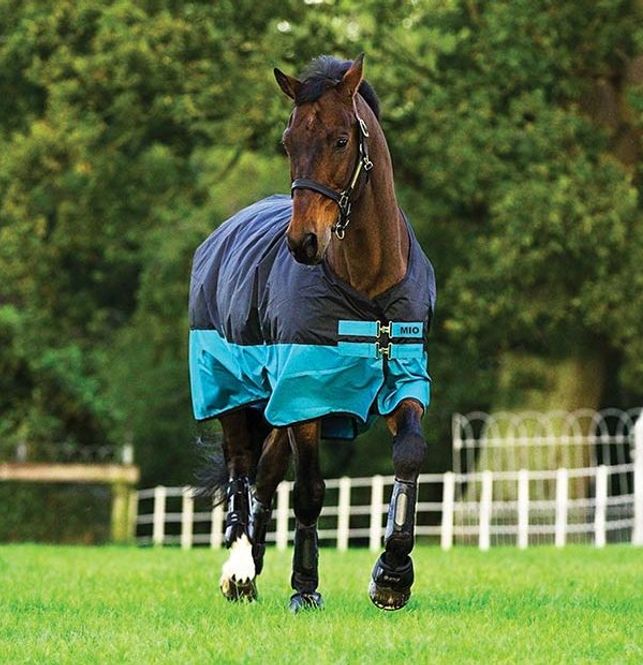 Hovedbilde Horseware Mio Turnout Lite 0 Gram 