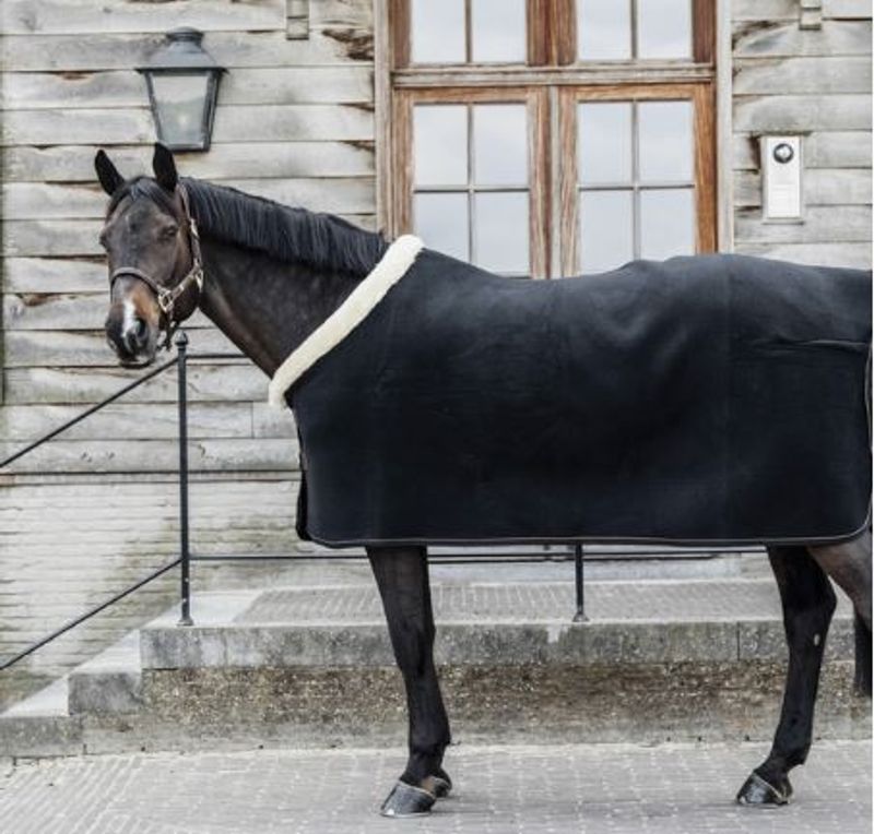 Kentucky Heavy Fleece Show Rug