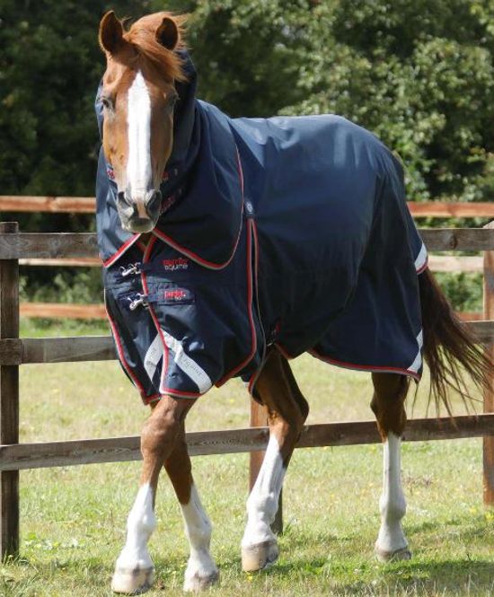 Hovedbilde Premier Equine, Buster 50 Gram