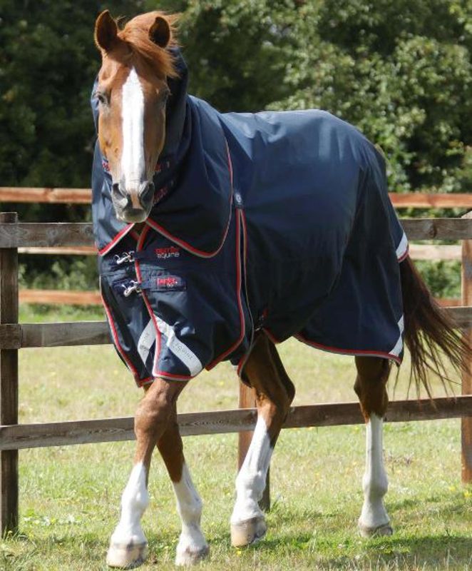 Premier Equine, Buster 50 Gram