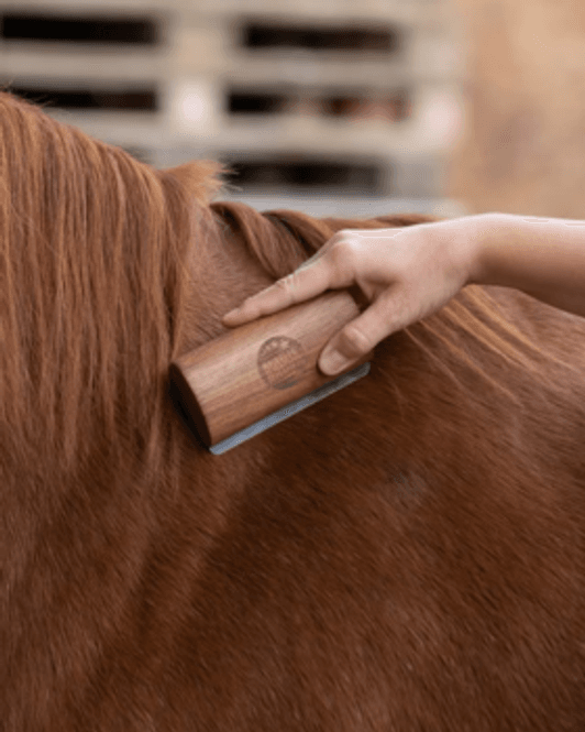 Hovedbilde Magic Brush Fellboy