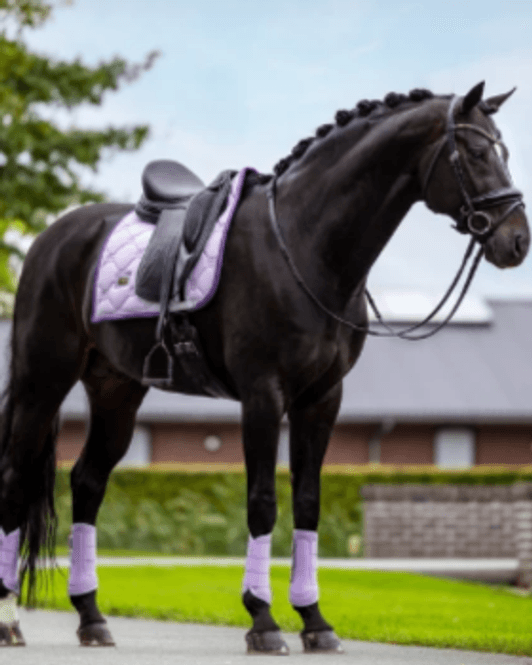 Hovedbilde Equestrian Stockholm, Lavender / Pearls Shabrak