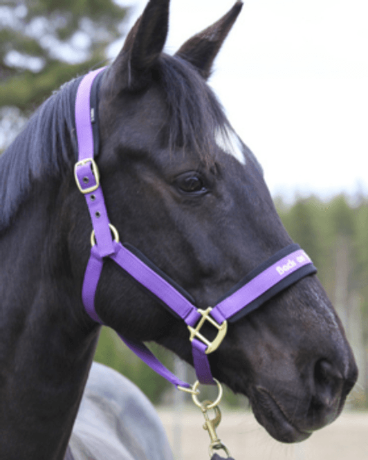 Hovedbilde Back On Track Grime Werano