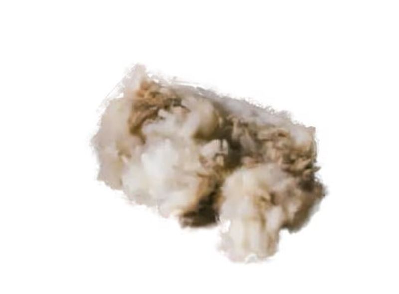 Grooming DeLuxe, Therapeutic Wool