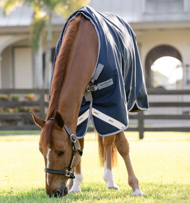 Horseware Amigo 1200D Turnout 0 Gram 