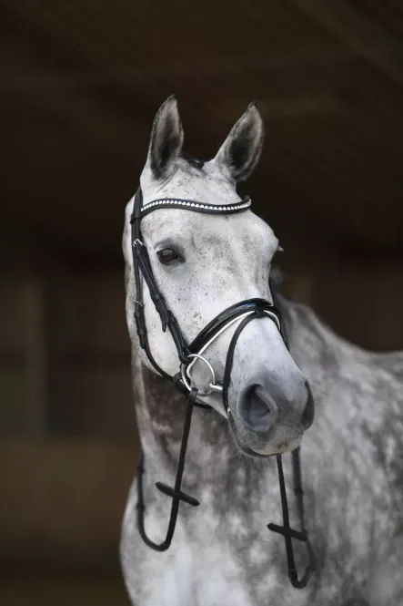 Hovedbilde Heimer Gaspari Hodelag