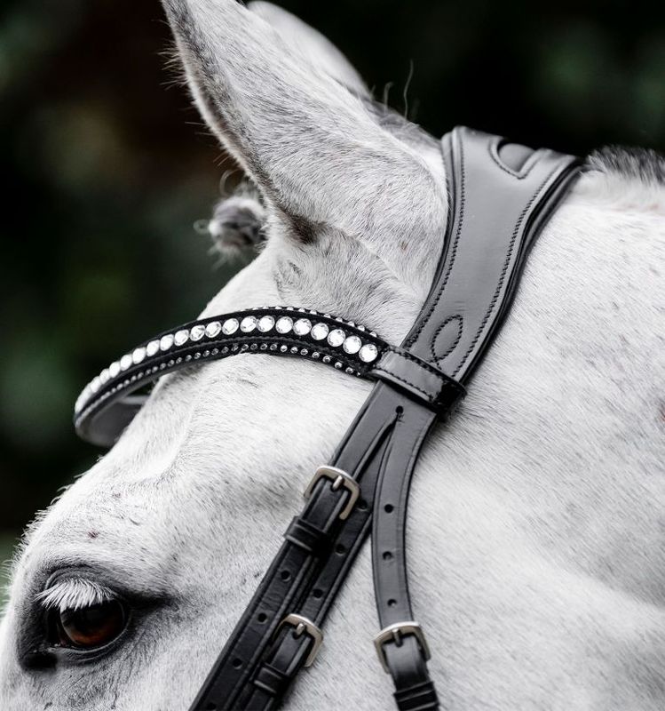 Horseware Diamante Flash Hodelag
