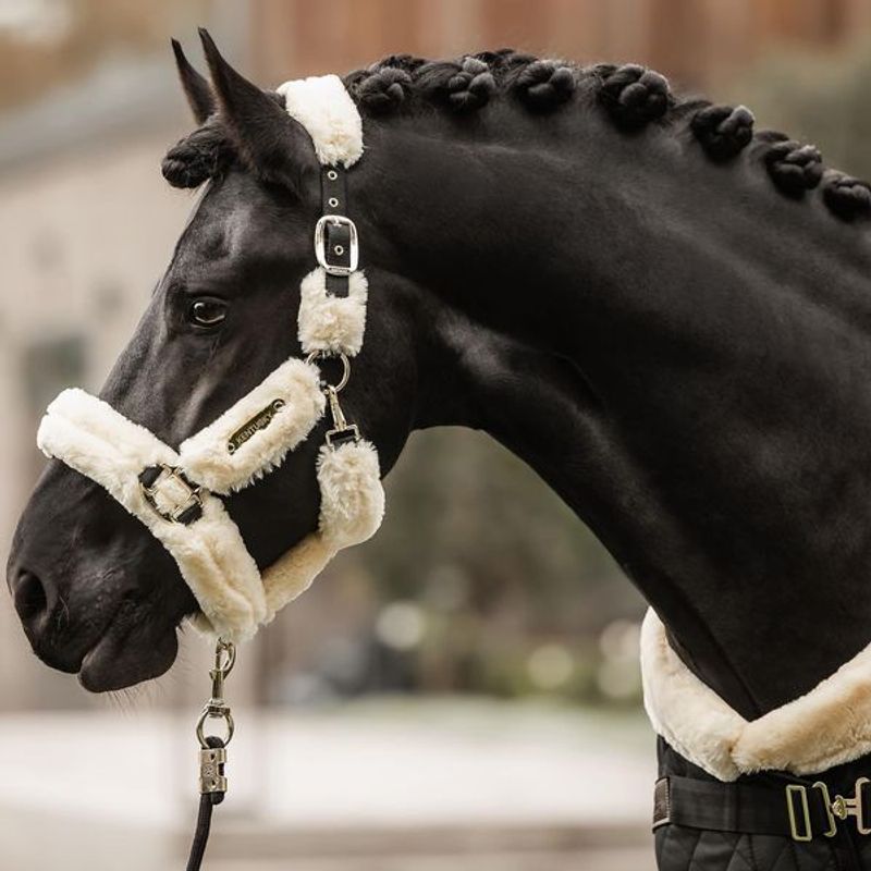 Kentucky Saueskinngrime