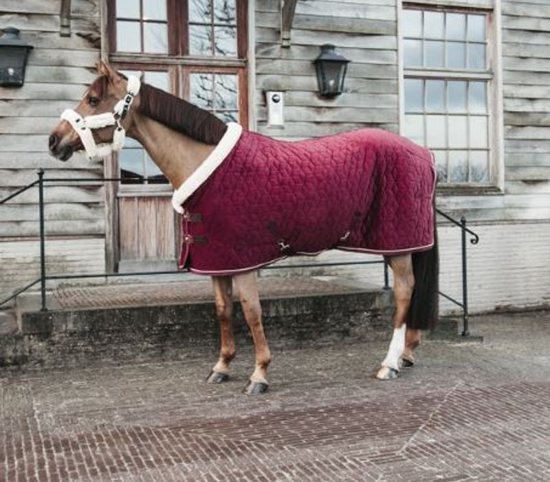 Kentucky Showrug Velvet Bordeaux, 160 Gram